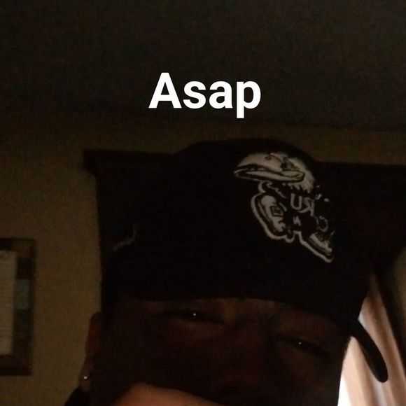 Meet your Posher, Felix - Picture 1 of 1